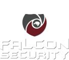 Falcon Security Logo Footer Image 013